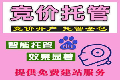 SEM服务在本地化营销中的应用案例